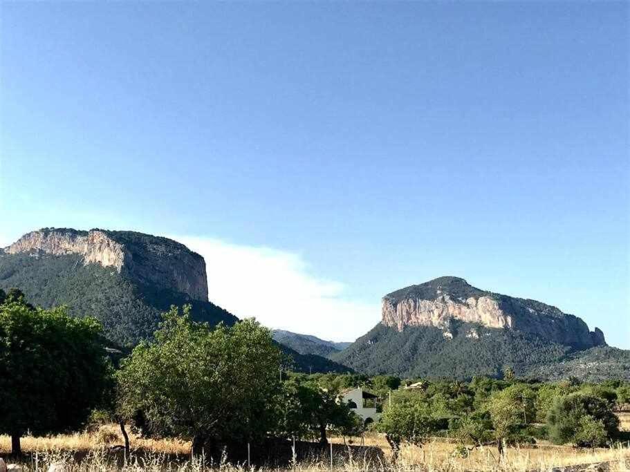 Casa De Pueblo Alaro别墅 外观 照片